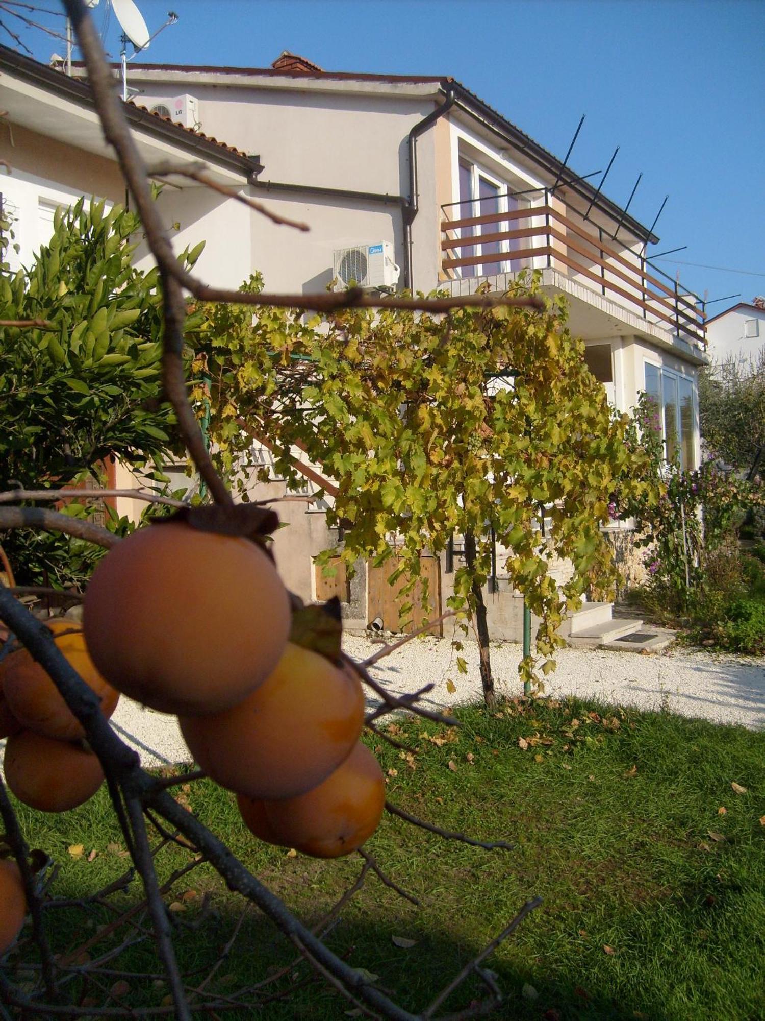 Apartments Bernic ميدولين المظهر الخارجي الصورة